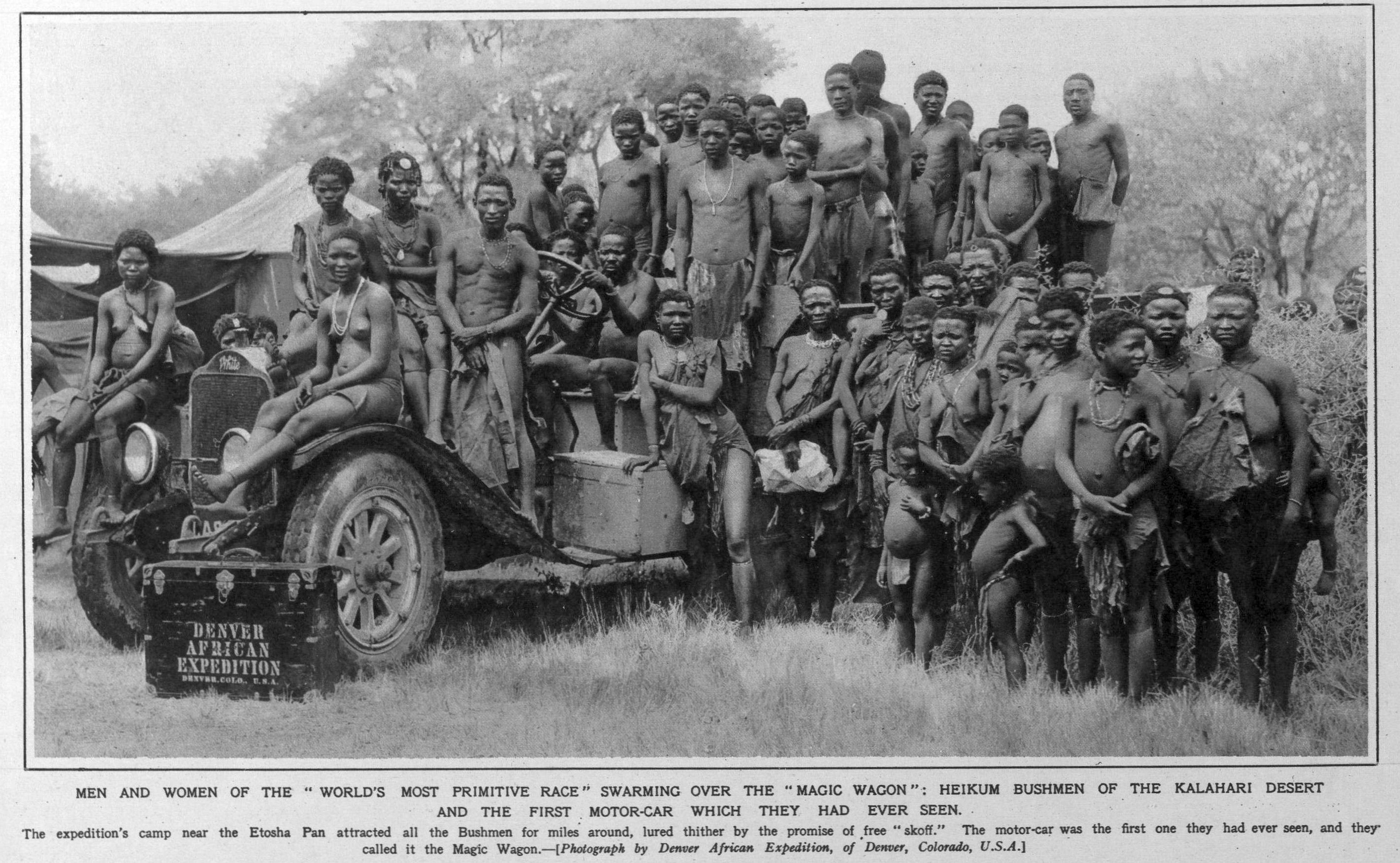 Bushmen 